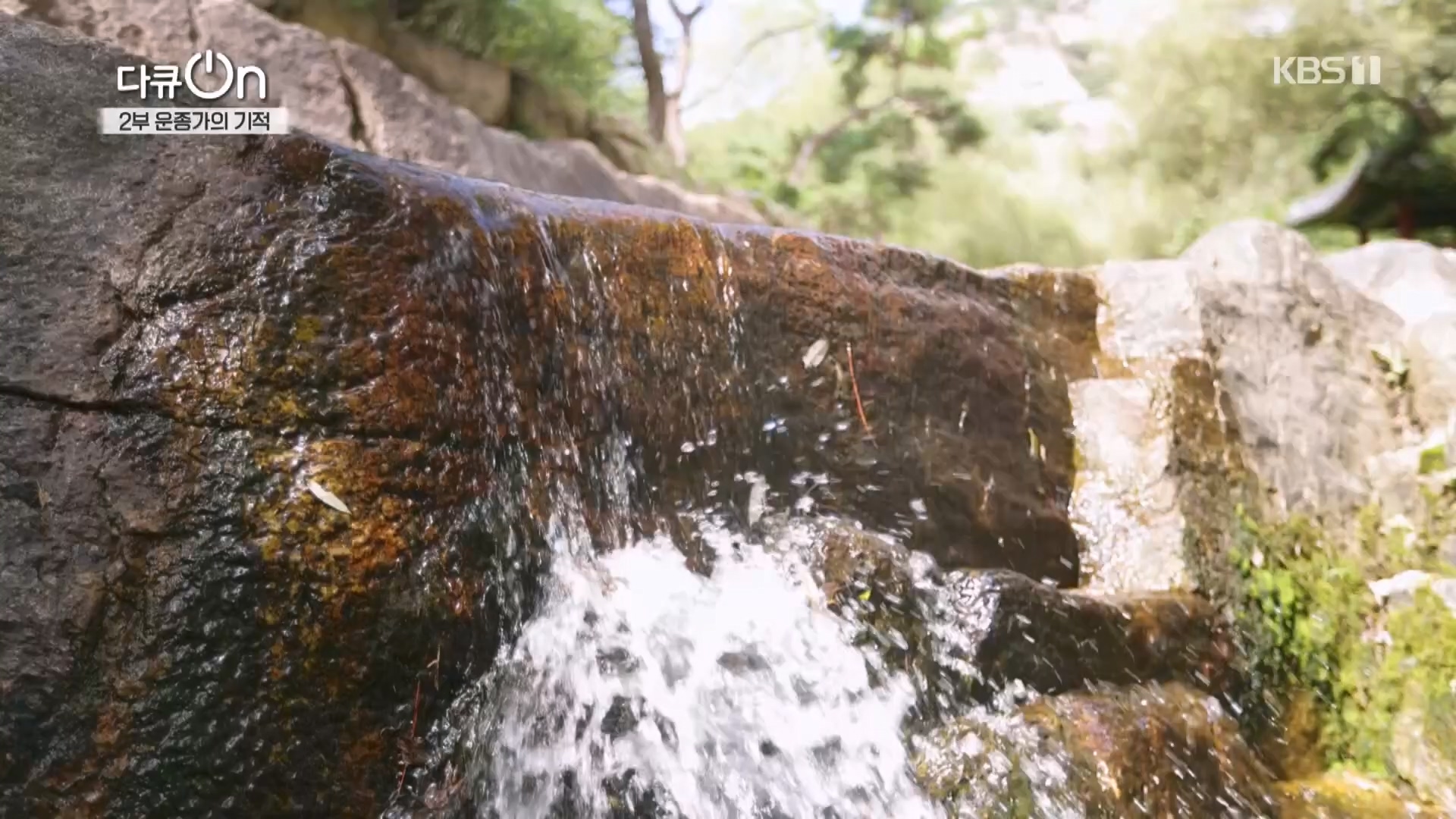 다큐 On.E226.231118p.H264-F1RST.mp4_20231120_202652.801.jpg