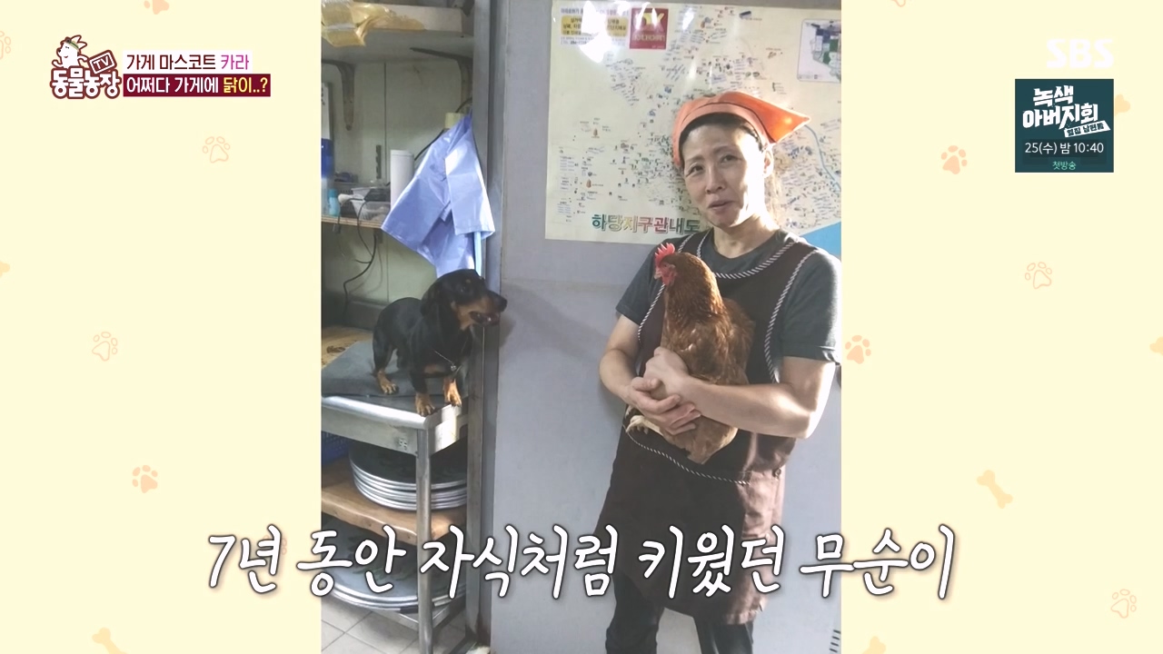 TV 동물농장.E1141.231016p-NEXT.mp4_20231015_173029.404.jpg