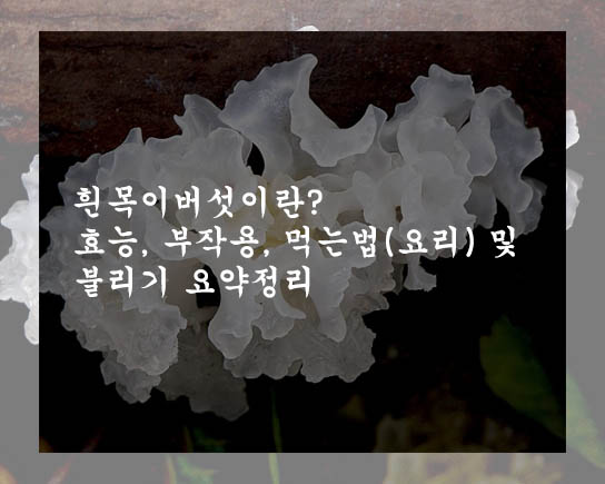  흰목이버섯 이란? 효능, 부작용, 먹는법(요리) 및 불리기 요약정리