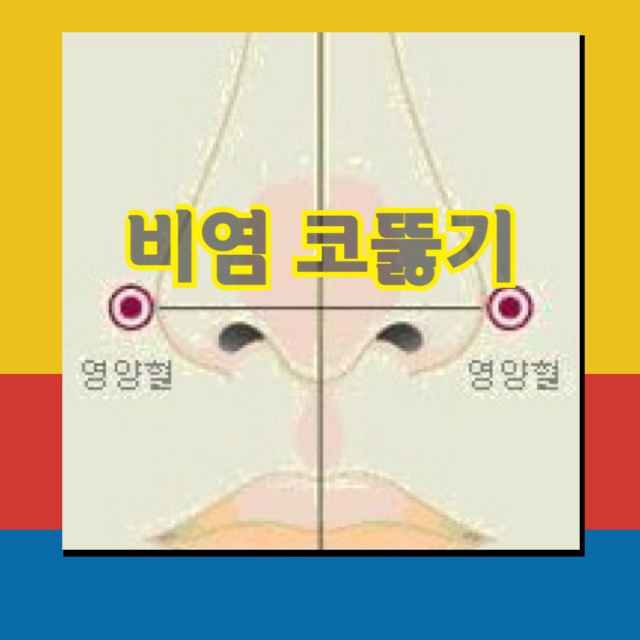  비염 코 뚫기 : 막힌 코 바로 뚫는 응급 혈자리