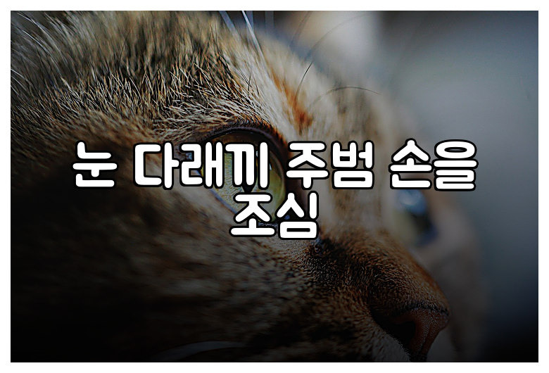 눈 다래끼 주범 손을 조심