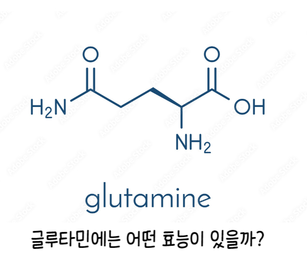 글루타민