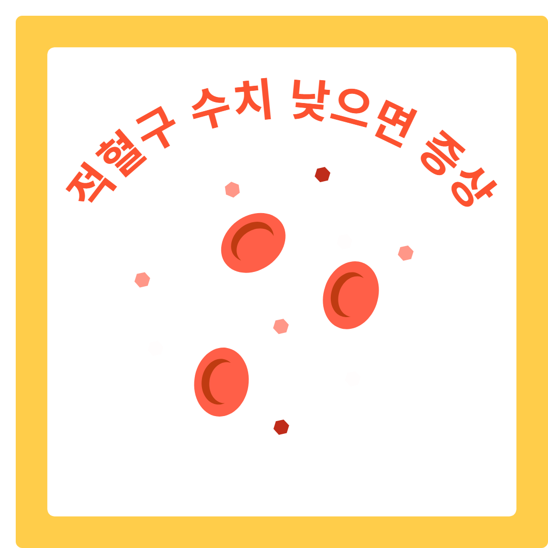  적혈구 수치 낮으면 건강에 미치는 영향과 관리법