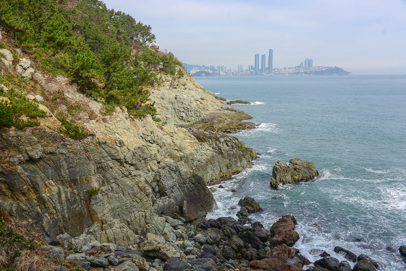 도버 이미지