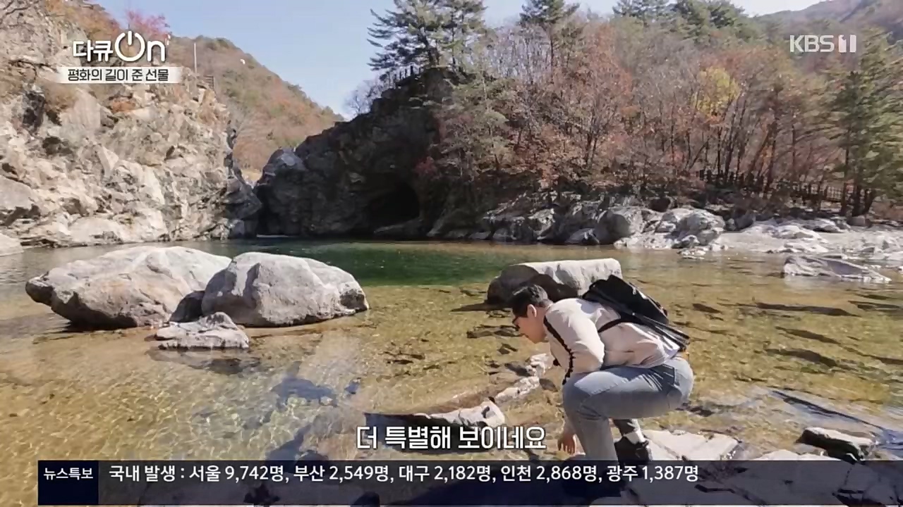 다큐 On.E172.221119p.H264

-F1RST.mp4_20221122_201830.028.jpg