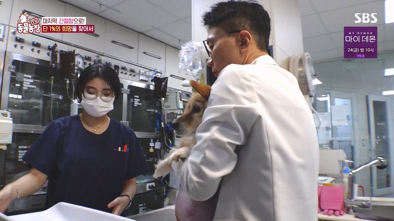 TV 동물농장.E1145.231113p-NEXT.mp4_20231112_173446.169.jpg