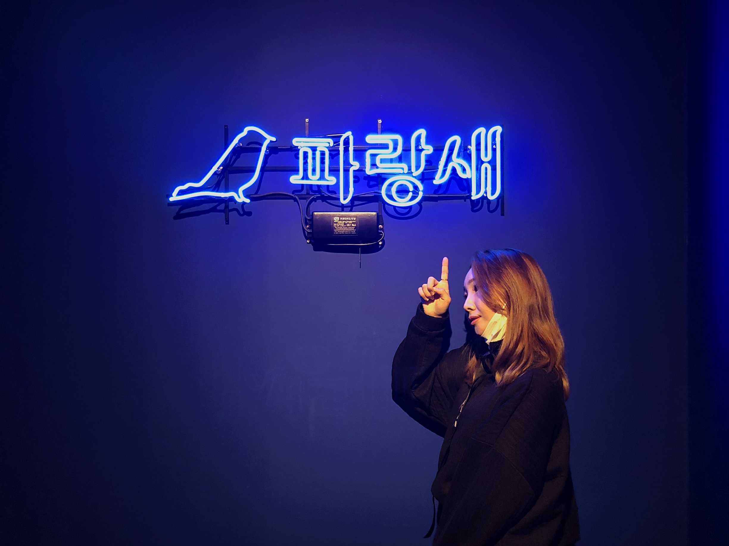  [부산] 서면 미술관 파랑새 전시회 인생샷 사진찍을만한곳