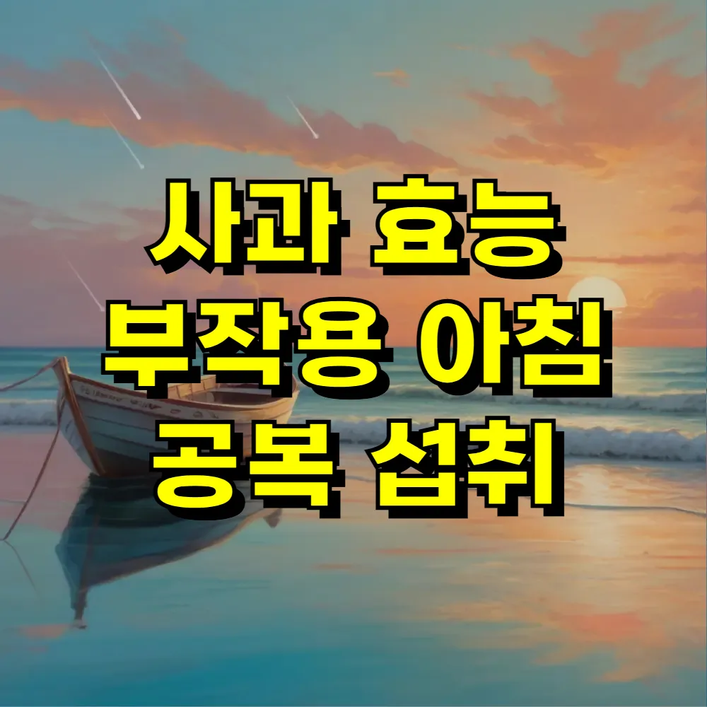 사과 효능 부작용 아침 공복 섭취