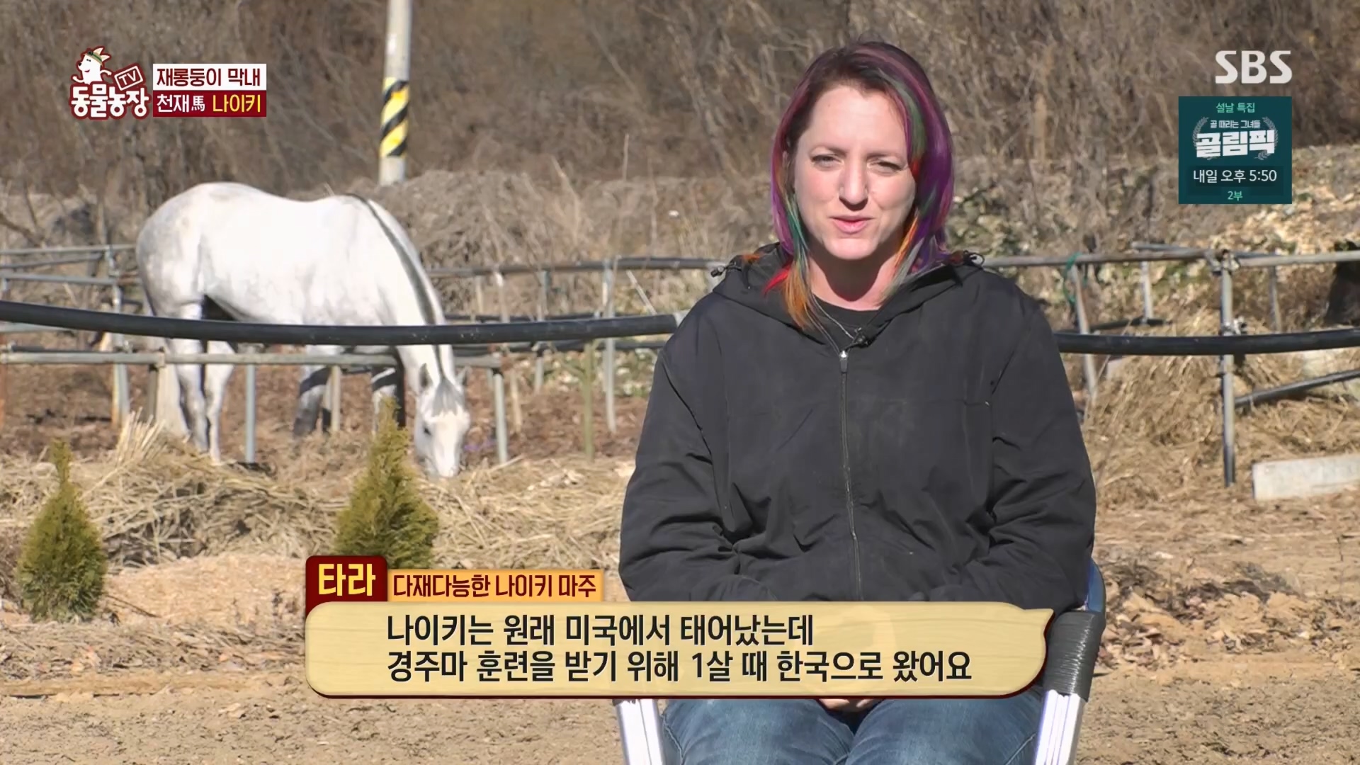 TV 동물농장.E1158.240211p.H264-F1RST.mp4_20240211_194056.046.jpg