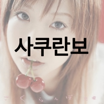  사쿠란보 뜻 가사, 오오츠카 아이
