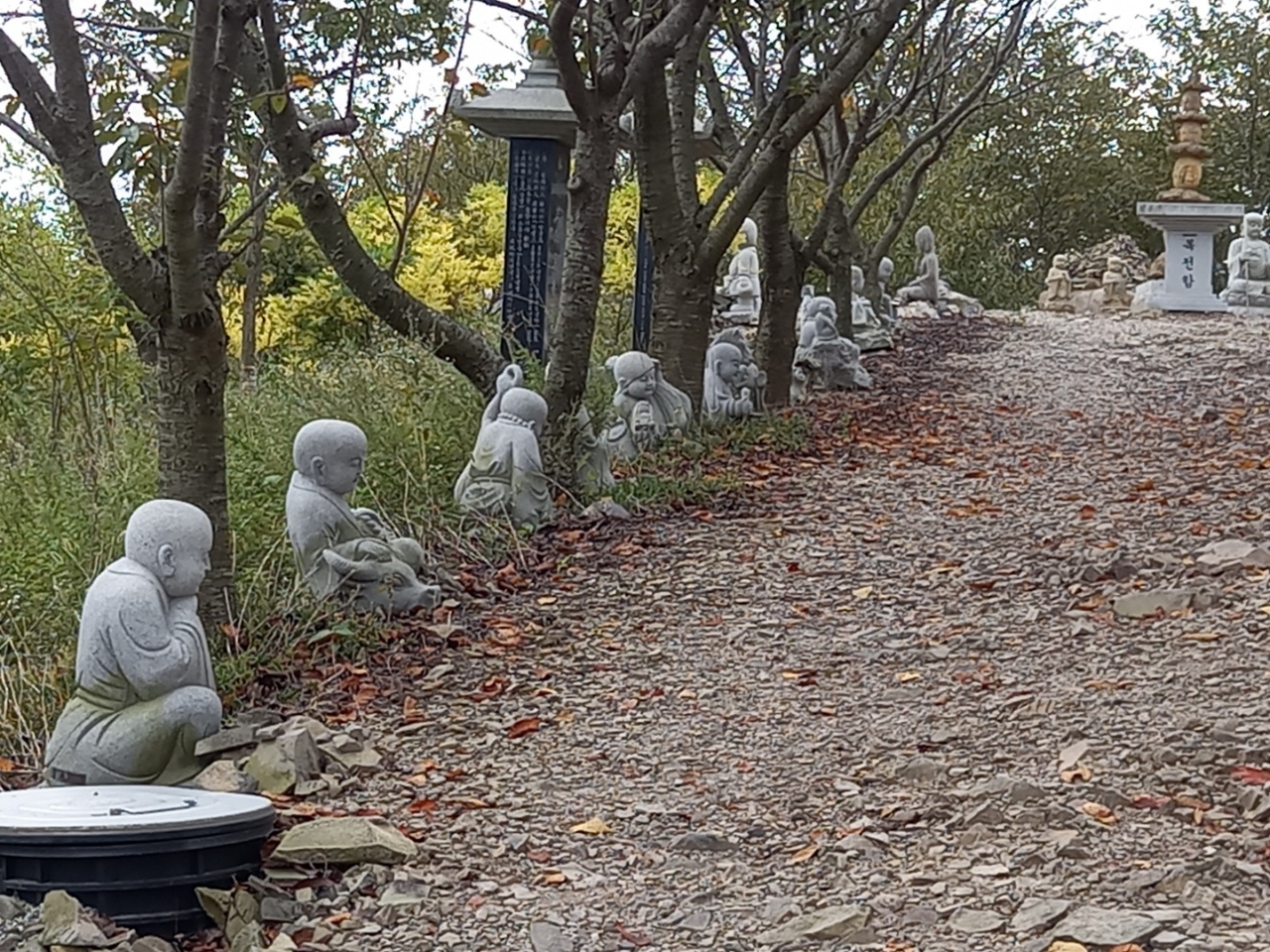img.jpg