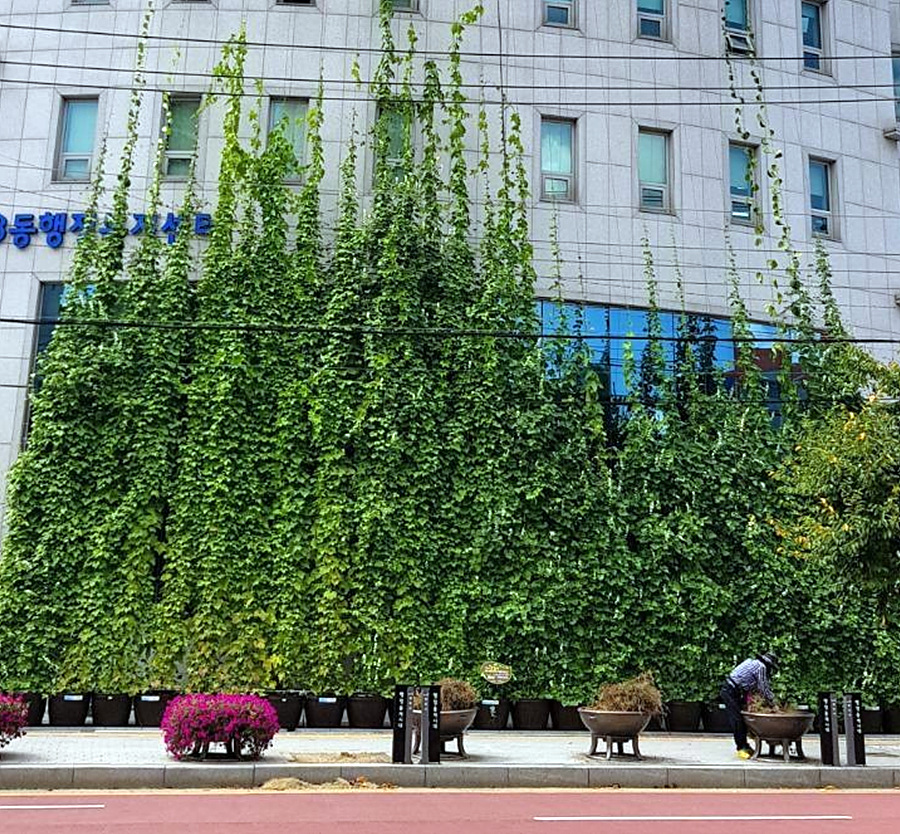 kbs1tv 다큐온 KBS1TV // 회천3동 생태그늘막 23