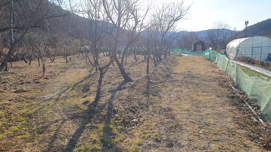  (땅나라 411번) 경남 서마산 - 내서 인터체인지 사이, 마을 인근 토지 2필지 매매 / 문의  055)253-6609