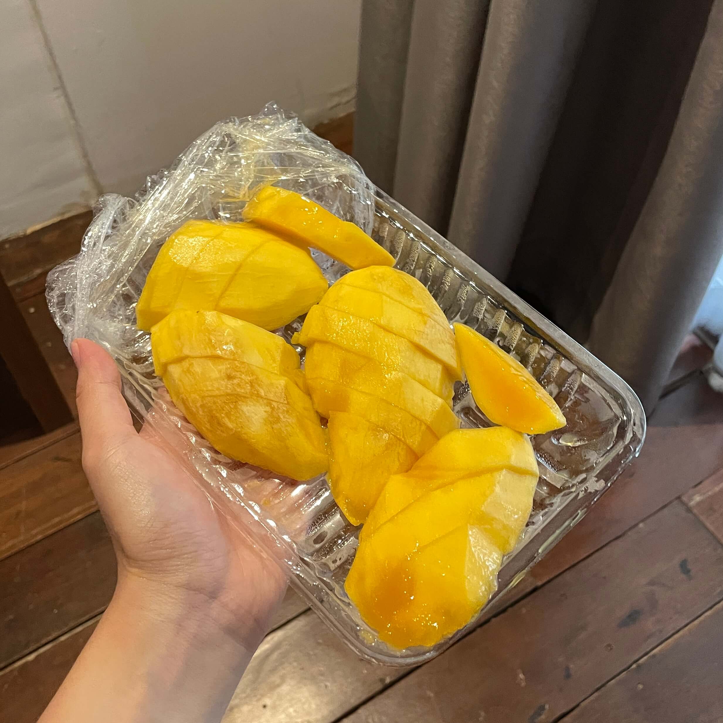 치앙마이 망고