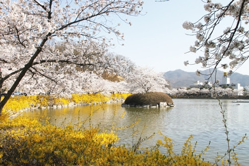 경북 김천 연화지