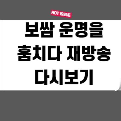  보쌈 운명을 훔치다 재방송 다시보기 무료