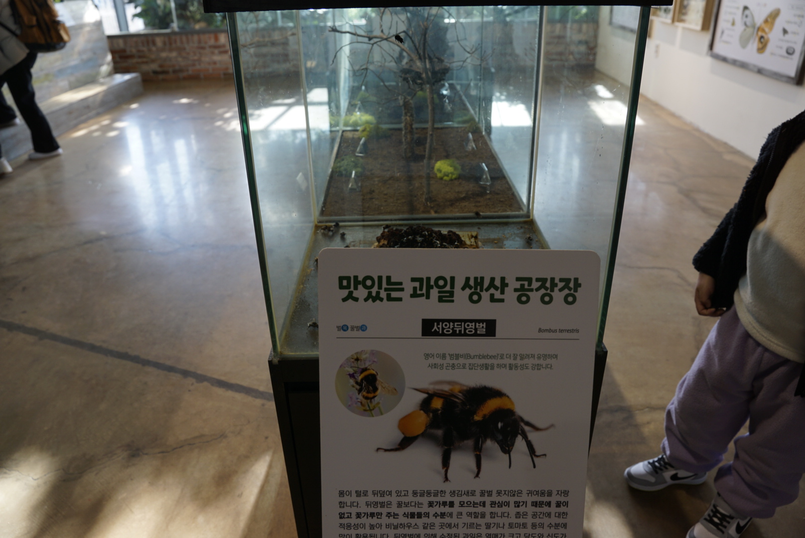용인 곤충테마파크