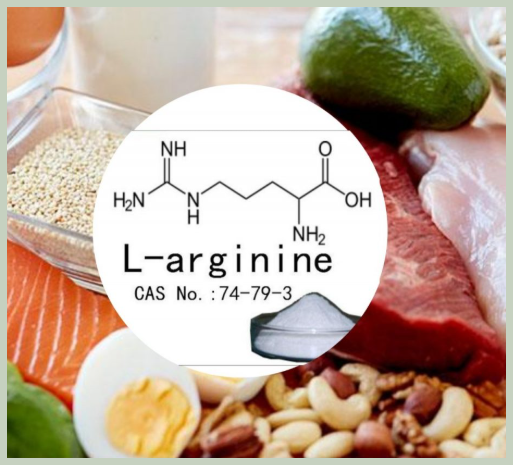 아르기닌 풍부한 음식