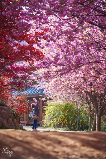 전주 완산칠봉 꽃동산 등산로 벙커 코스_52
