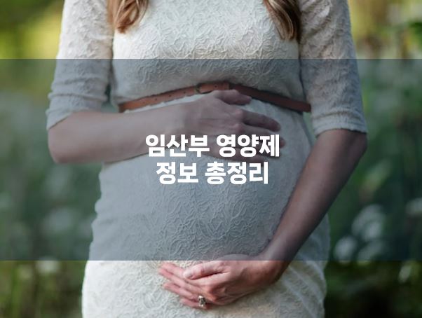 임산부 영양제