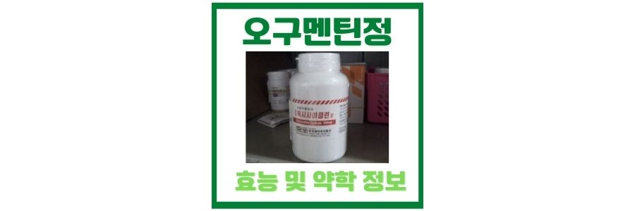  오구멘틴정 항생제의 효능과 효과 및 약제 정보