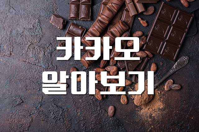  카카오, 초콜릿의 원료이자 건강식품