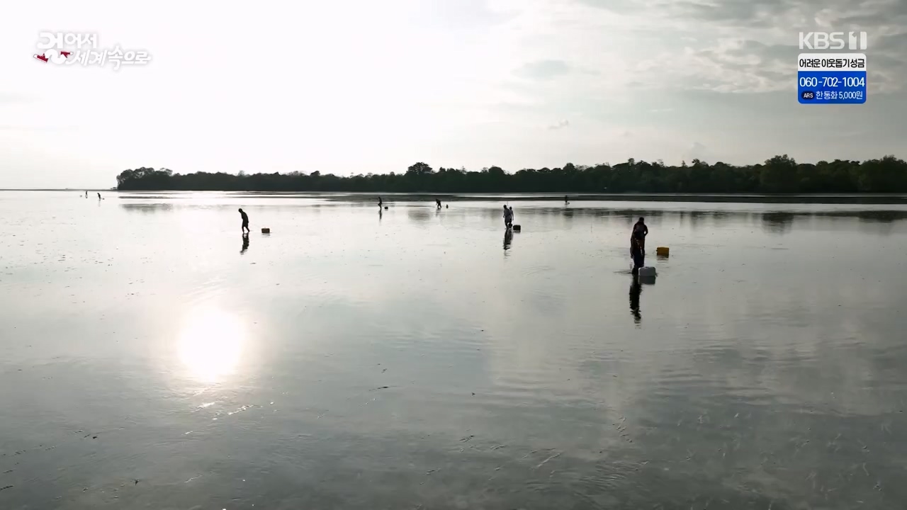 걸어서 세계속으로.E820.231203p-NEXT.mp4_20231202_175122.187.jpg