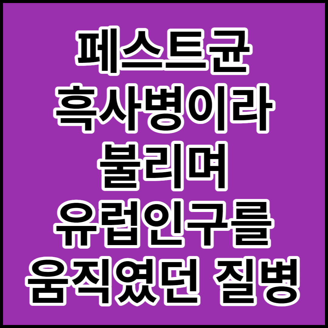  [페스트균]증상 및 예방에 대해서