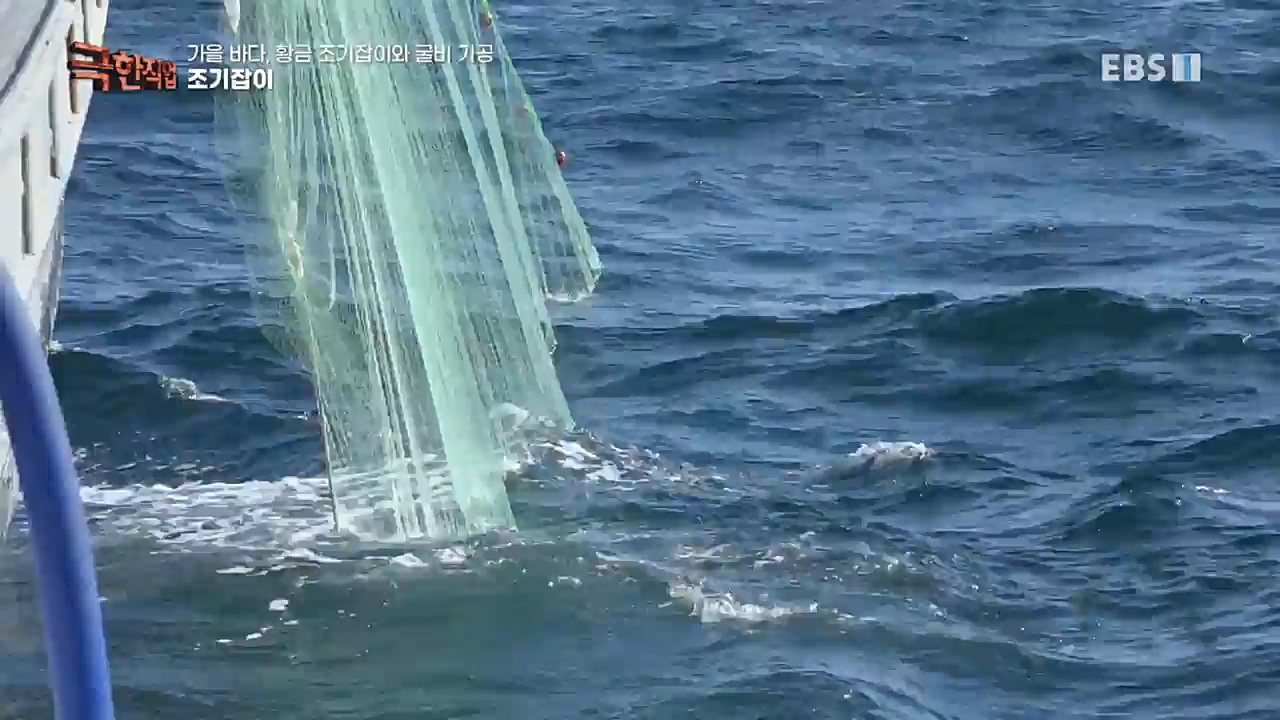 TV - 교육의 중심 EBS가을 바다 황금 조기잡이와 굴비 가공.mp4_20221122_195431.930.jpg
