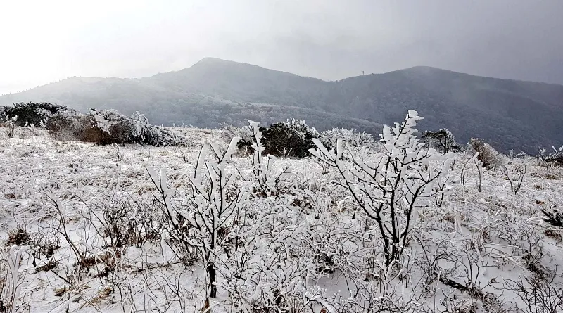 소백산 설경