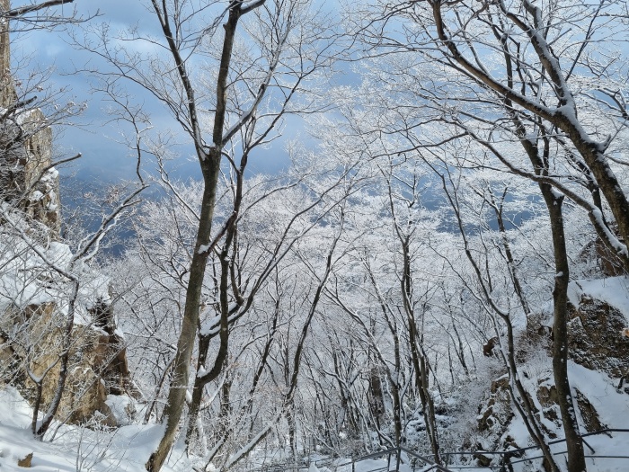 등산로-설경