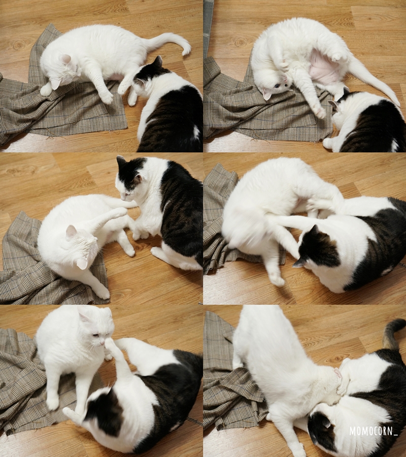 에코백 만들기 재료 겨울에코백 매듭 9