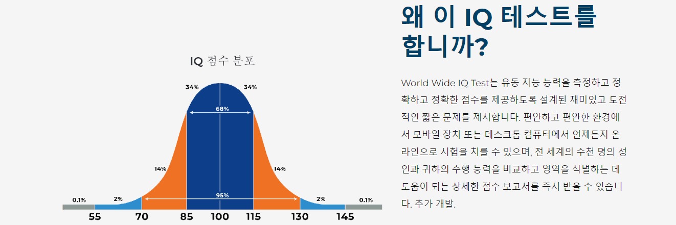 WW IQ 테스트