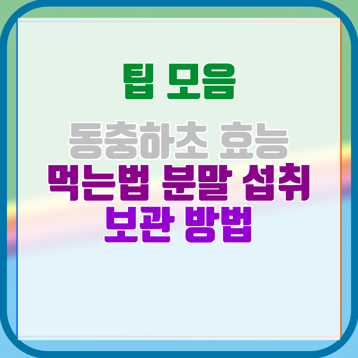 동충하초 효능 먹는법 분말 섭취 보관 방법