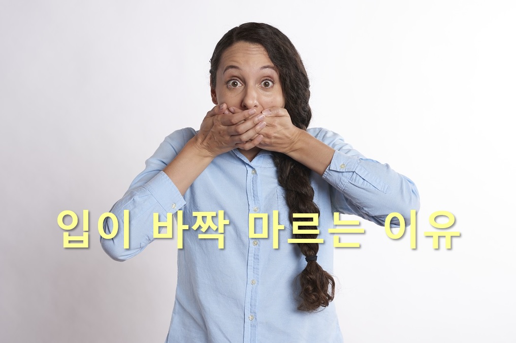  입이 바짝 마르는 이유와 입이 마르고 쓴 이유