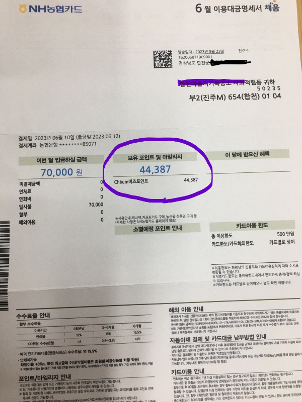 Cheum비즈포인트