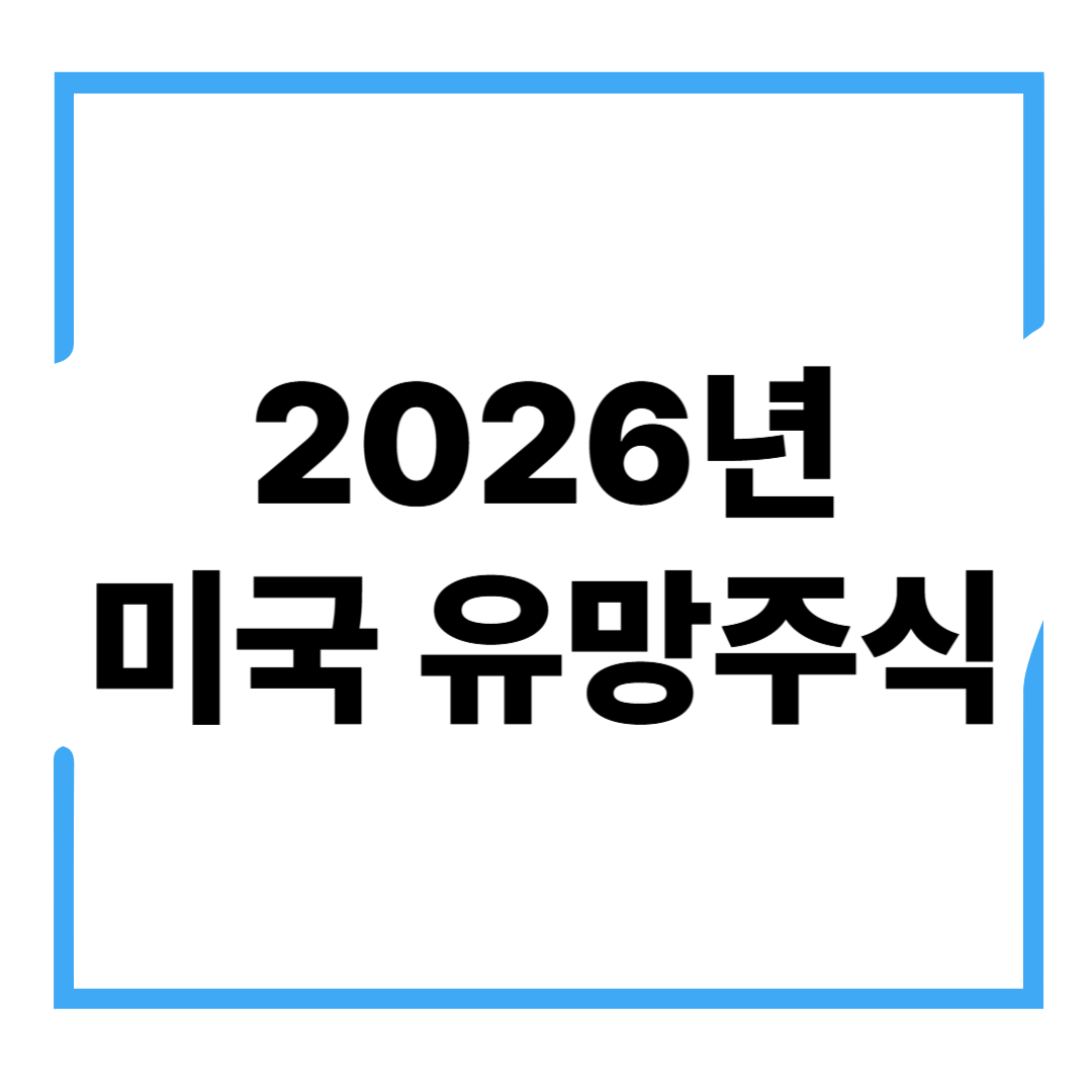 미국증시
