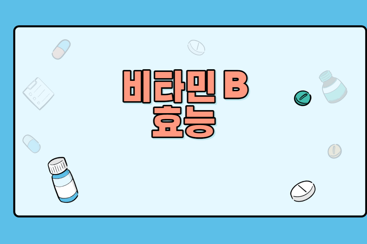 비타민 B 효능 썸네일