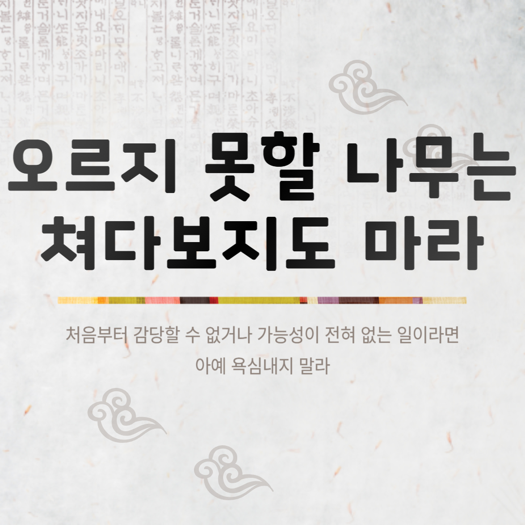 오르지 못할 나무는 쳐다보지도 마라