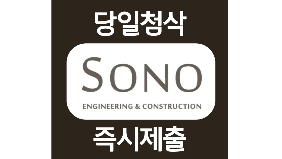  대명소노인터내셔널 신입 경력 자소서항목 자기소개서 문항 작성방법 첨삭 대필