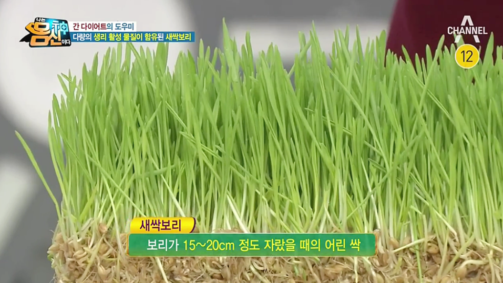  새싹보리 효능 및 효과 요리법 알아보세요