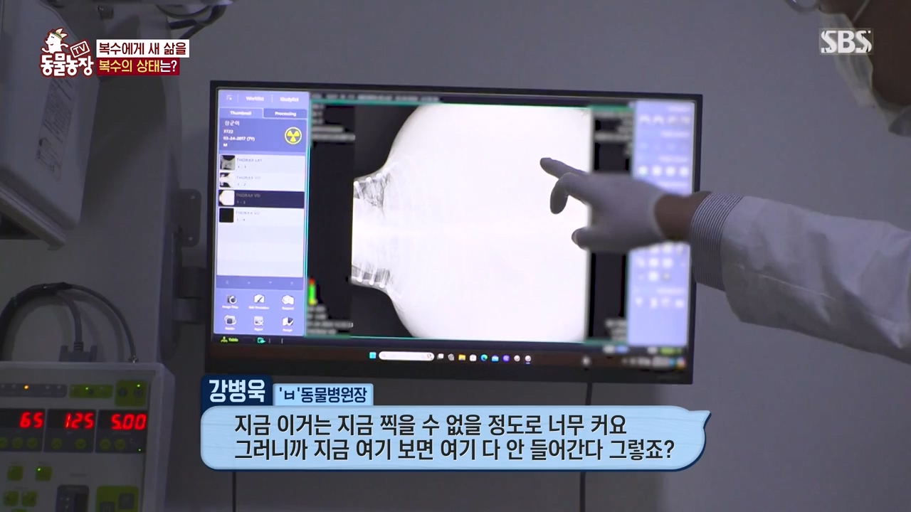 TV 동물농장.E1173.240527p-NEXT.mp4_20240526_155724.912.jpg