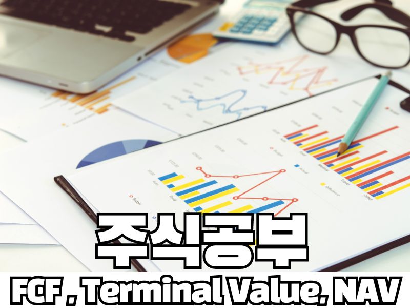 주식공부: FCF &#44; Terminal Value&#44; NAV 란 무엇인가요?
