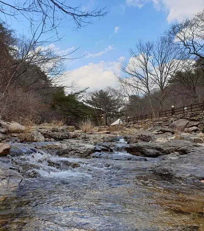 청수가든 캠핑장