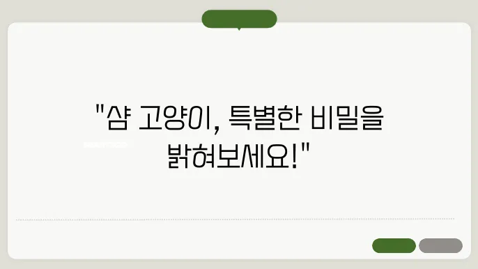 샴 고양이의 활동적인 모습