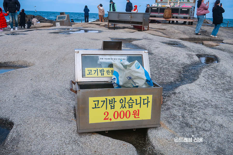 동해바다 볼거리 양양 휴휴암 7