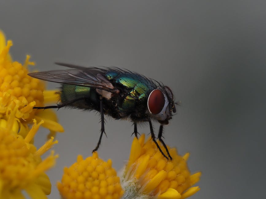 엑셀의 효율적인 데이터 삽입과 행/열 조작을 위한 매크로 활용법 caption=