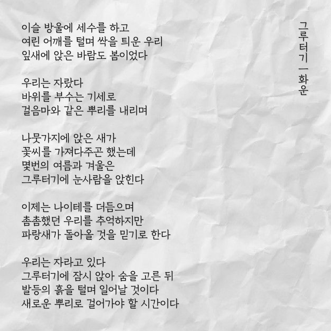 그루터기 이미지