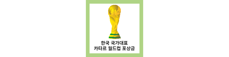 한국 국가대표 월드컵 포상