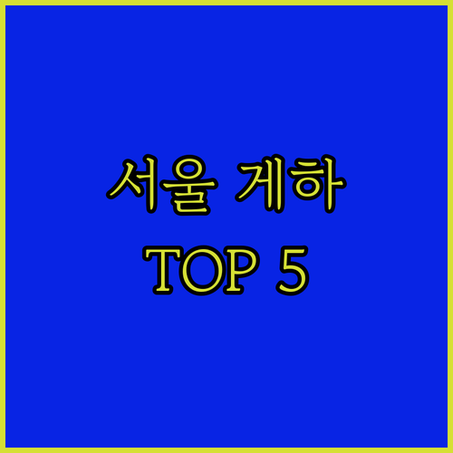 서울 게스트하우스 TOP 5 신촌부터